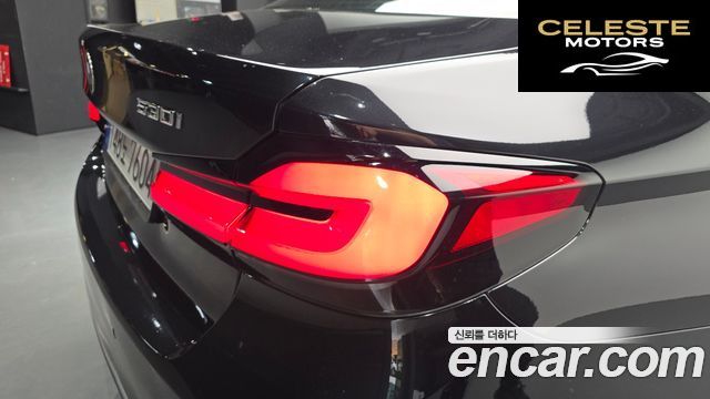 BMW Série 5 (G30) 530i xDrive Luxury 2023 — photo 8 sur 36