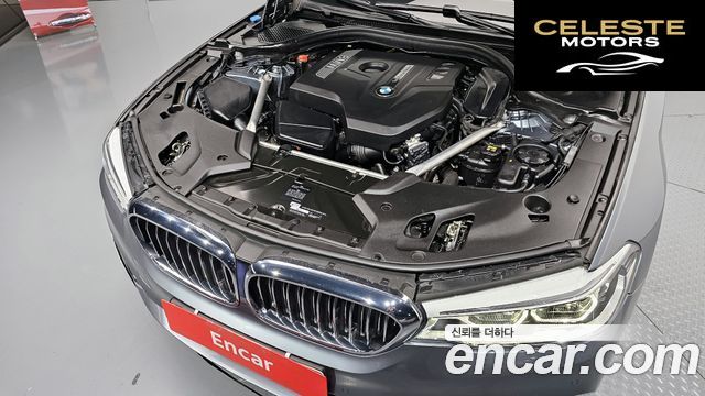 BMW Série 5 (G30) 530i xDrive Luxury Plus 2018 — photo 6 sur 37