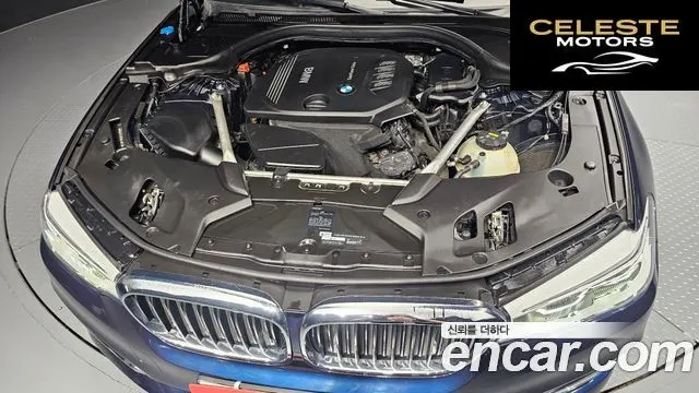BMW Série 5 (G30) 520d Luxury Spécial Edition 2018 — photo 6 sur 32