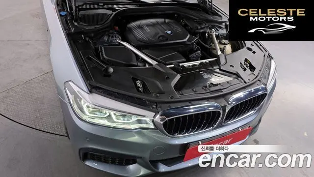 BMW Série 5 (G30) 520d xDrive M Sport 2018 — photo 6 sur 20
