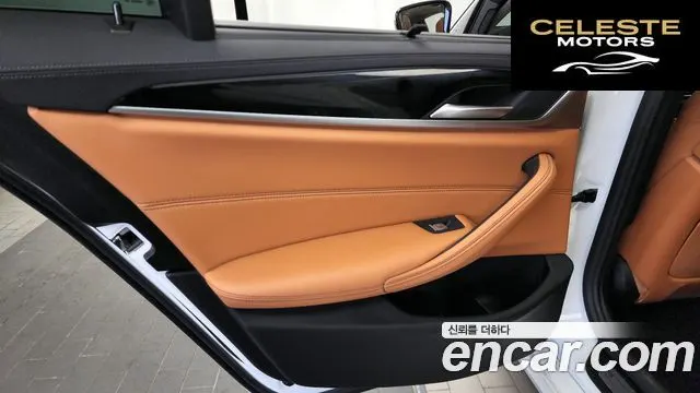 BMW Série 5 (G30) 520i Luxury 2022 — photo 15 sur 33