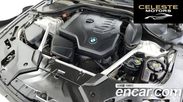 BMW Série 5 (G30) 520i Luxury 2022 — photo 6 sur 33