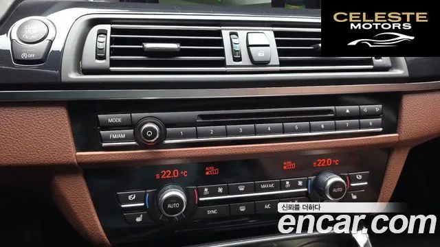BMW Série 5 (F10) 520d xDrive M Aéro Dynamic 2016 — photo 16 sur 20