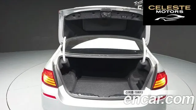 BMW Série 5 (F10) 520d xDrive M Aéro Dynamic 2016 — photo 20 sur 20