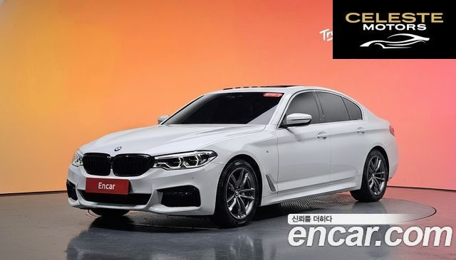 BMW Série 5 (G30) 520d M Sport Plus 2019 — photo 33 sur 33