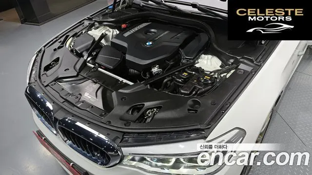 BMW Série 5 (G30) 530i xDrive M Sport Plus 2018 — photo 6 sur 30