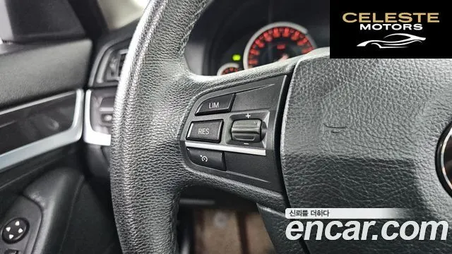 BMW Série 5 (F10) 520d xDrive 2014 — photo 19 sur 20