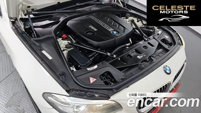 BMW Série 5 (F10) 520d xDrive 2014 — photo 6 sur 20