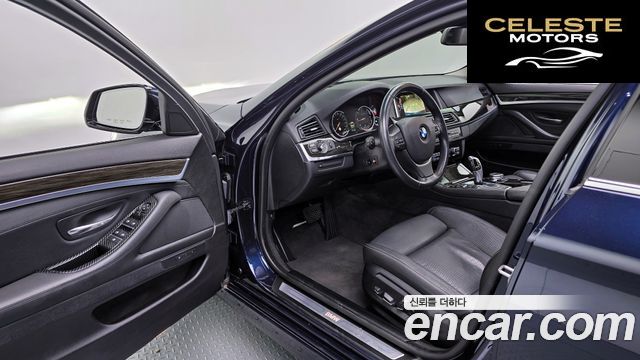 BMW Série 5 (F10) 520d Luxury Plus 2016 — photo 10 sur 20