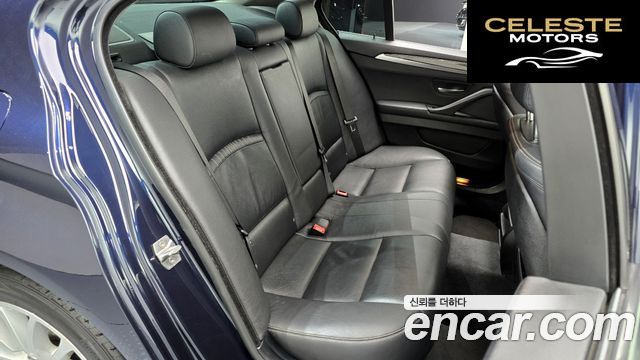 BMW Série 5 (F10) 520d Luxury Plus 2016 — photo 11 sur 20
