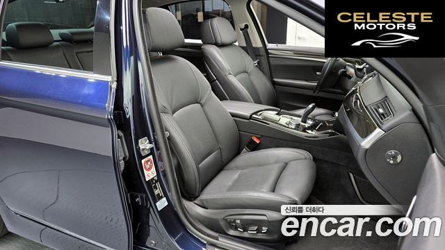 BMW Série 5 (F10) 520d Luxury Plus 2016 — photo 12 sur 20
