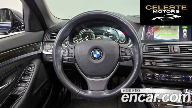 BMW Série 5 (F10) 520d Luxury Plus 2016 — photo 13 sur 20