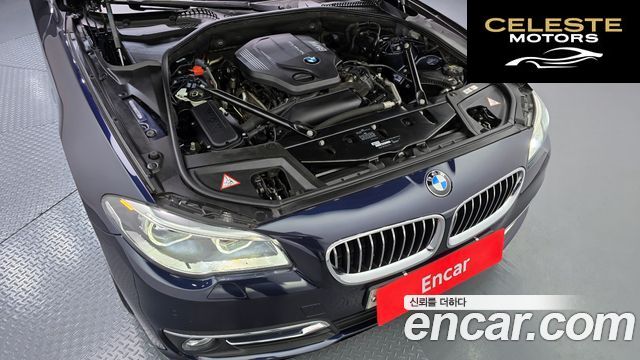 BMW Série 5 (F10) 520d Luxury Plus 2016 — photo 6 sur 20