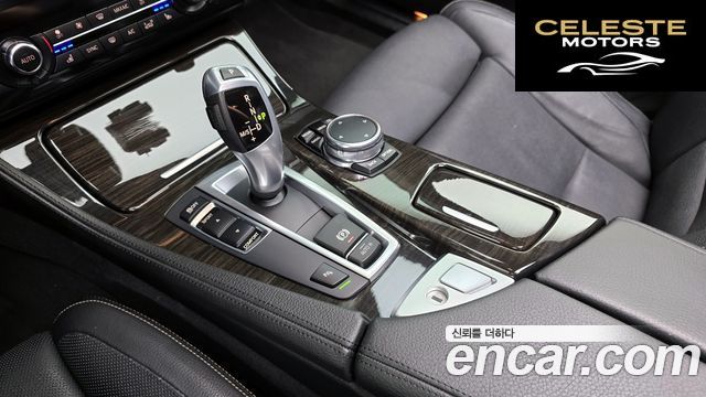 BMW Série 5 (F10) 520d Luxury Plus 2016 — photo 9 sur 20