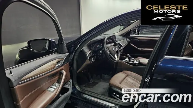 BMW Série 5 (G30) 530i Luxury Plus 2019 — photo 10 sur 20