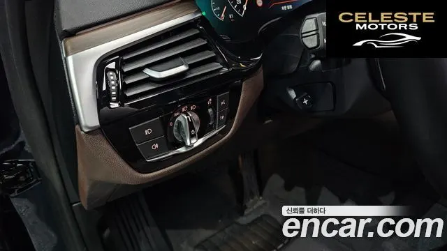 BMW Série 5 (G30) 530i Luxury Plus 2019 — photo 20 sur 20