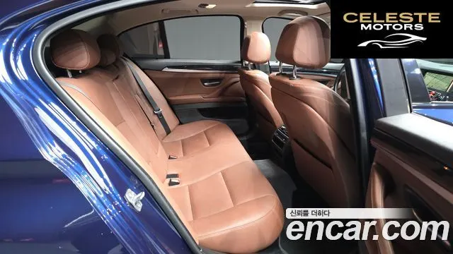 BMW Série 5 (F10) 520d M Aéro Dynamic 2016 — photo 12 sur 20