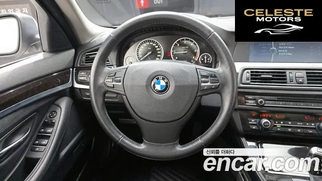 BMW Série 5 (F10) 520d 2012 — photo 13 sur 20