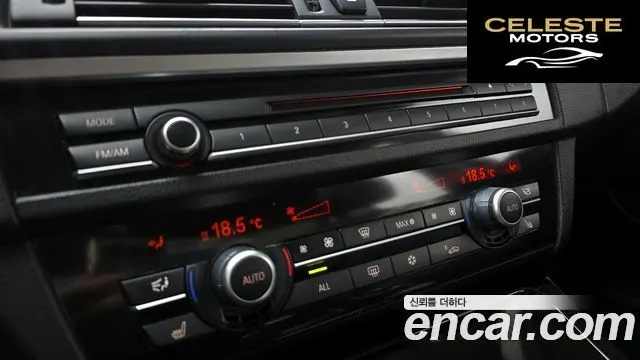 BMW Série 5 (F10) 520d 2012 — photo 18 sur 20