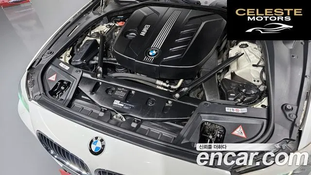 BMW Série 5 (F10) 520d 2012 — photo 6 sur 20