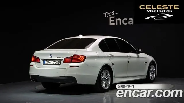 BMW Série 5 (F10) 520d M Aéro Dynamic 2016 — photo 2 sur 20