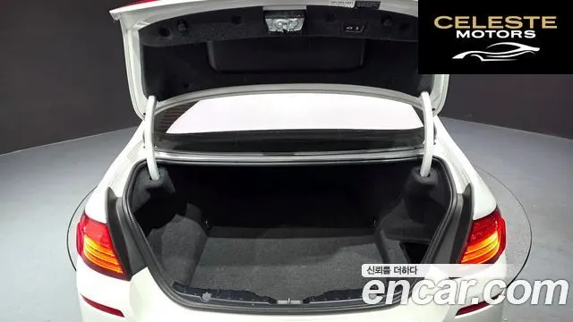 BMW Série 5 (F10) 520d M Aéro Dynamic 2016 — photo 20 sur 20