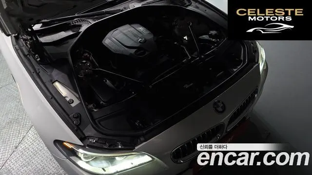 BMW Série 5 (F10) 520d M Aéro Dynamic 2016 — photo 6 sur 20