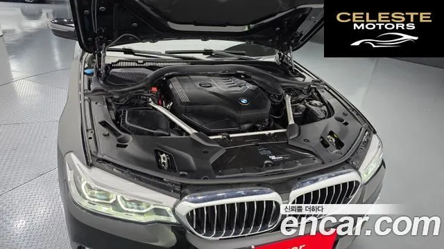 BMW Série 5 (G30) 530i Luxury Plus 2020 — photo 6 sur 33