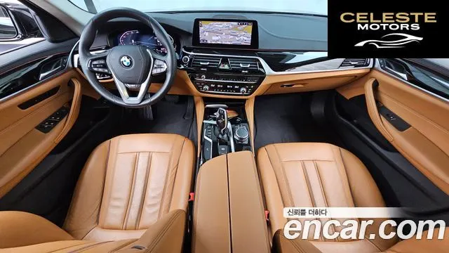 BMW Série 5 (G30) 520i Luxury 2020 — photo 10 sur 34