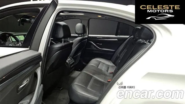BMW Série 5 (F10) 520d M Aéro Dynamic 2016 — photo 12 sur 20