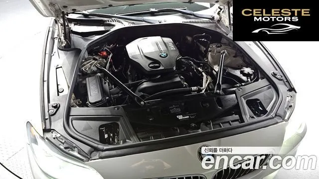 BMW Série 5 (F10) 520d M Aéro Dynamic 2016 — photo 6 sur 20
