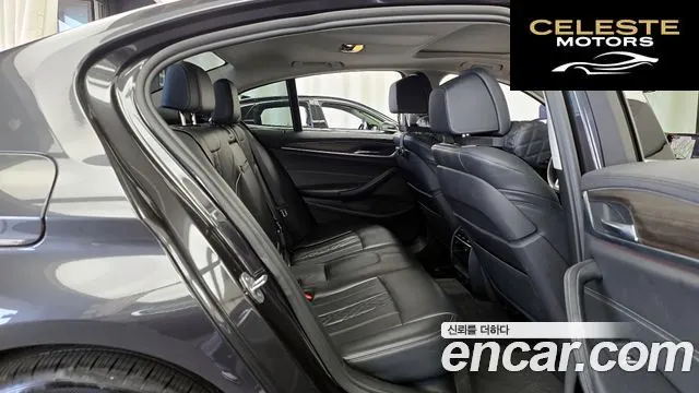 BMW Série 5 (G30) 520d xDrive Luxury Plus 2019 — photo 17 sur 31