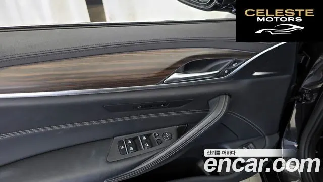 BMW Série 5 (G30) 520d xDrive Luxury Plus 2019 — photo 28 sur 31