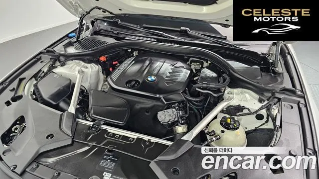BMW Série 5 (G30) 520d Luxury Plus 2020 — photo 6 sur 26