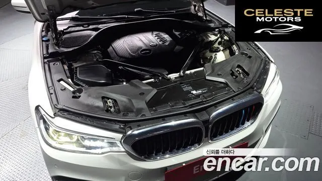 BMW Série 5 (G30) 520d M Sport 2017 — photo 6 sur 20