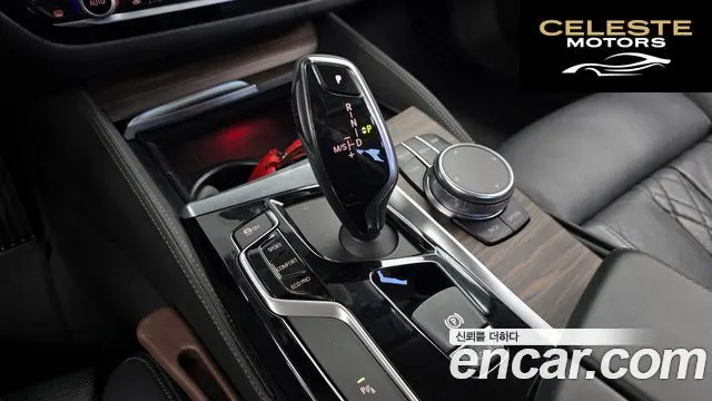 BMW Série 5 (G30) 520d xDrive Luxury Plus 2019 — photo 12 sur 31