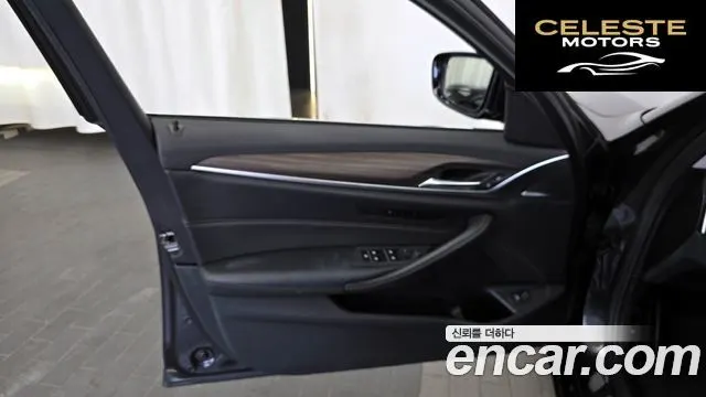 BMW Série 5 (G30) 520d xDrive Luxury Plus 2019 — photo 14 sur 31