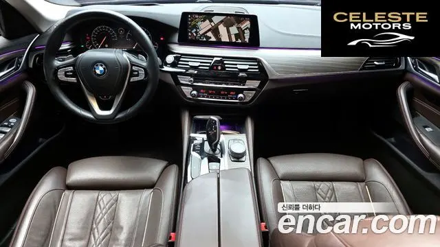 BMW Série 5 (G30) 530i xDrive Luxury Plus 2019 — photo 10 sur 33