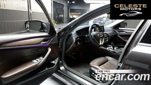 BMW Série 5 (G30) 530i xDrive Luxury Plus 2019 — photo 13 sur 33