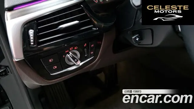 BMW Série 5 (G30) 530i xDrive Luxury Plus 2019 — photo 30 sur 33