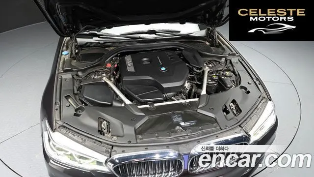 BMW Série 5 (G30) 530i xDrive Luxury Plus 2019 — photo 6 sur 33