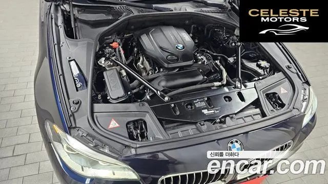 BMW Série 5 (F10) 520d M Aéro Dynamic 2016 — photo 6 sur 20