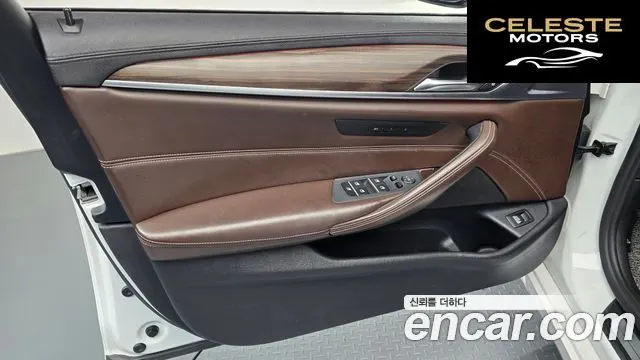 BMW Série 5 (G30) 520d xDrive Luxury Plus 2018 — photo 14 sur 36