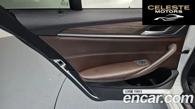 BMW Série 5 (G30) 520d xDrive Luxury Plus 2018 — photo 35 sur 36