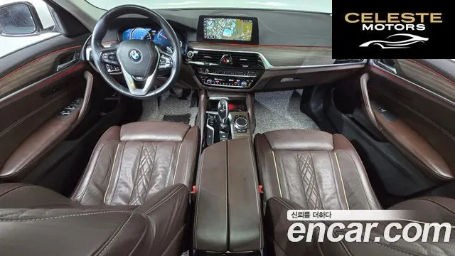 BMW Série 5 (G30) 520d xDrive Luxury Plus 2018 — photo 10 sur 36