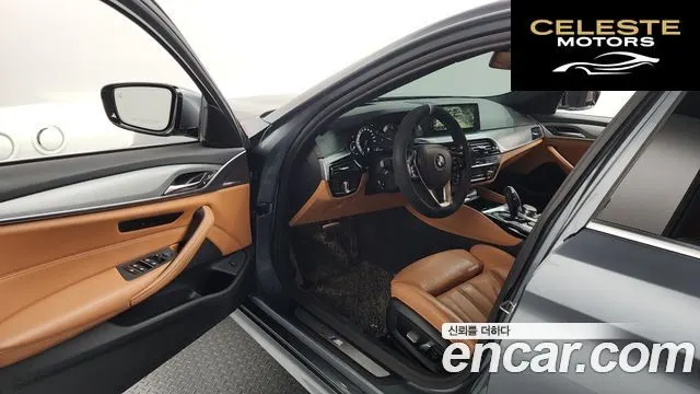 BMW Série 5 (G30) 520d M Sport Spécial Edition 2018 — photo 10 sur 20
