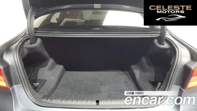 BMW Série 5 (G30) 520d M Sport Spécial Edition 2018 — photo 18 sur 20