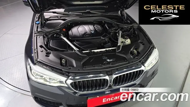 BMW Série 5 (G30) 520d M Sport Plus 2018 — photo 6 sur 20
