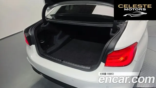 BMW Série 5 (G30) 520d M Sport Plus 2017 — photo 30 sur 37