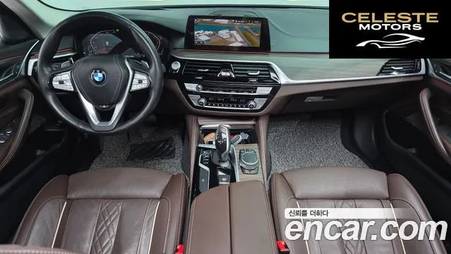 BMW Série 5 (G30) 520d xDrive Luxury Plus 2020 — photo 10 sur 34